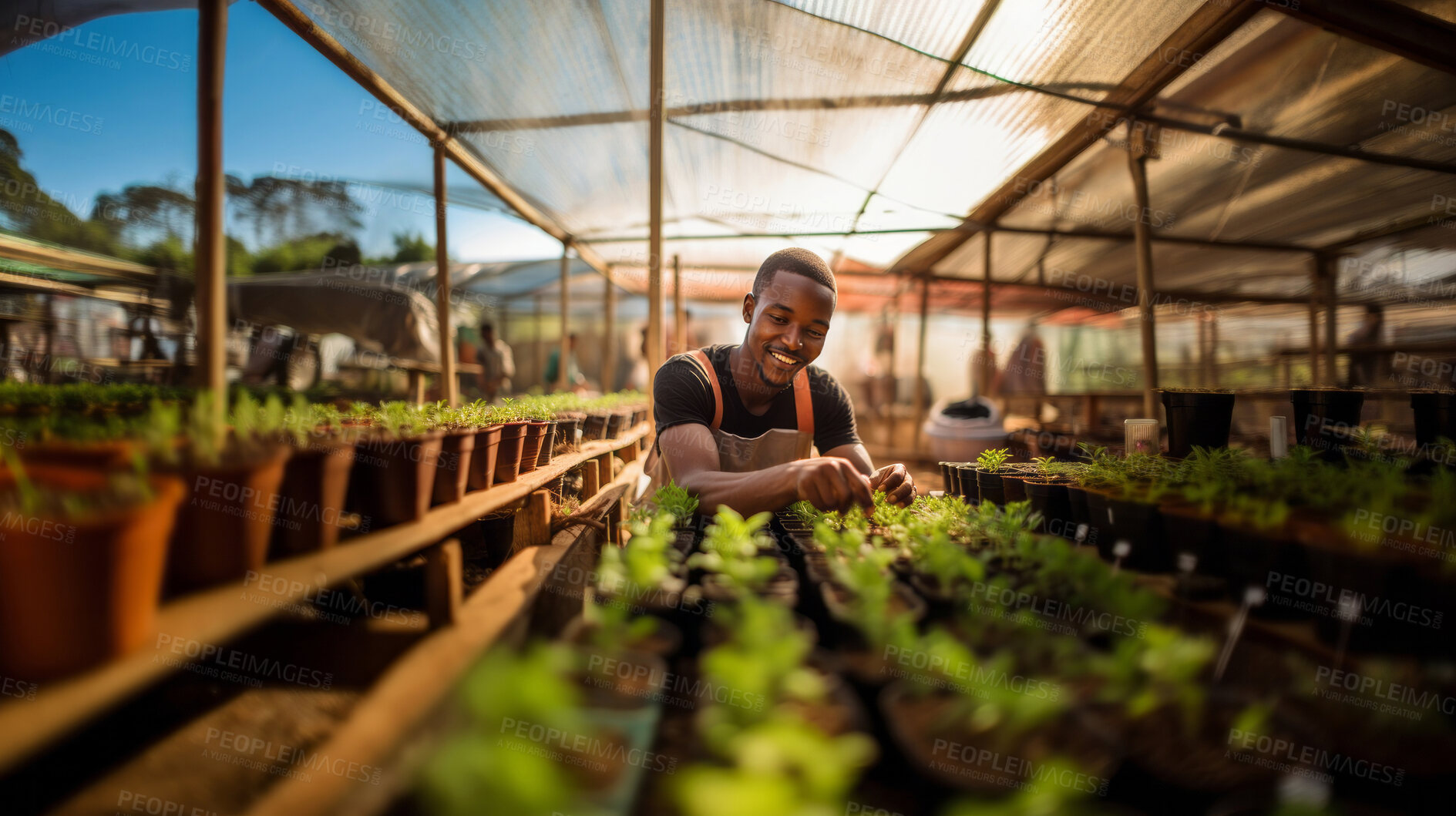 Buy stock photo Portrait of young african male farmer or small business owner at plant nursery