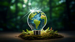 Eco friendly and earth day lightbulb, Sustainability, Renewable energy concept