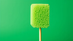 Sponge on a stick. Clean home and kitchen copyspace background