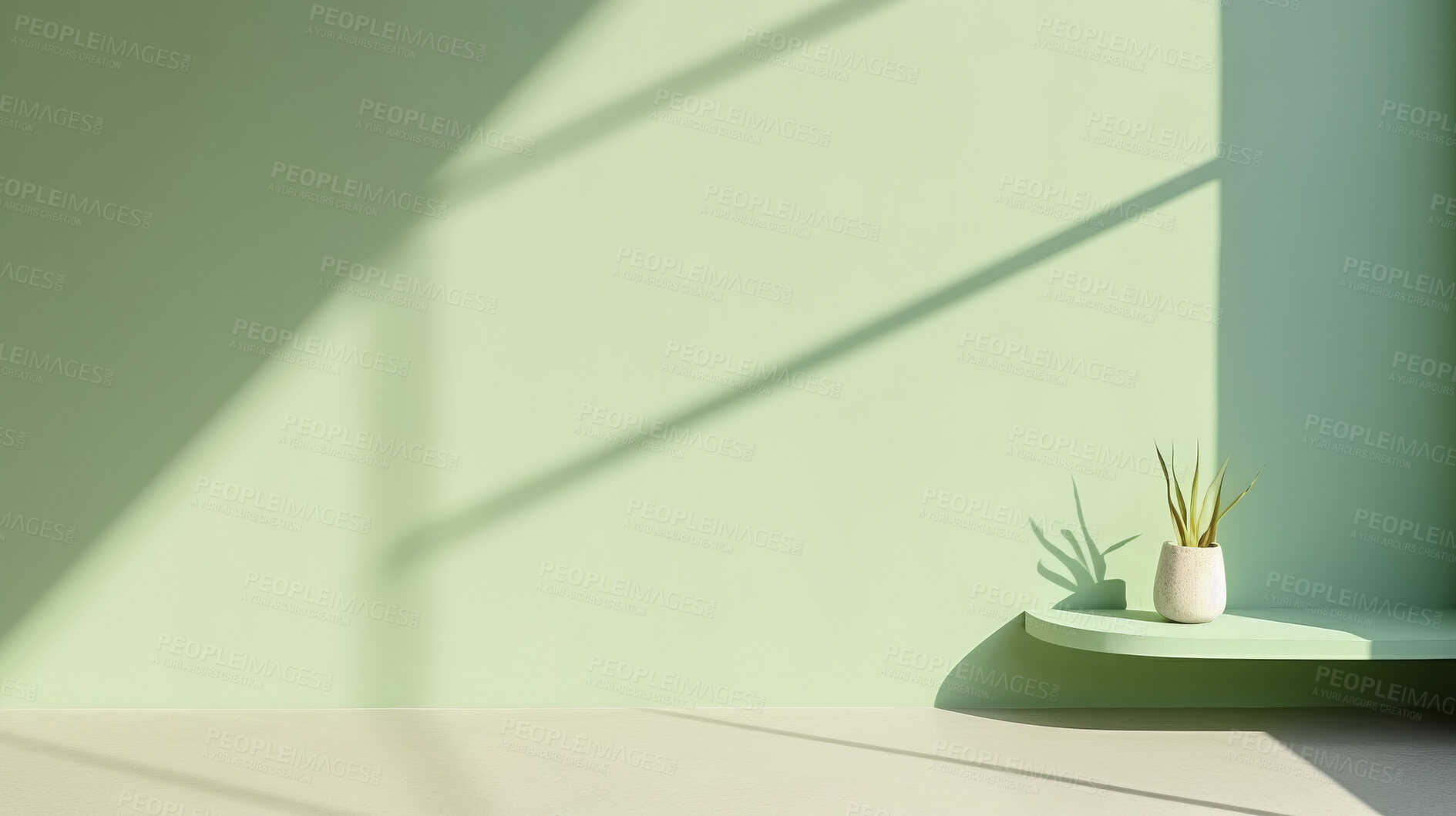 Buy stock photo Green empty wall with shadows and light. Minimal abstract background for product presentation