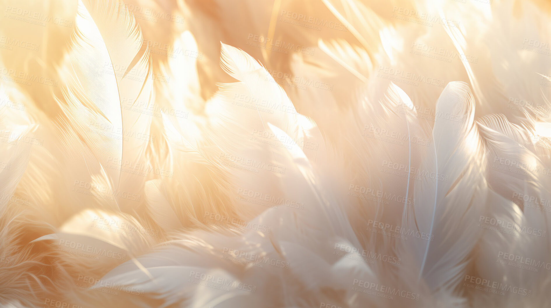 Buy stock photo Closeup, white feathers background for peace, spirituality, religion and hope.