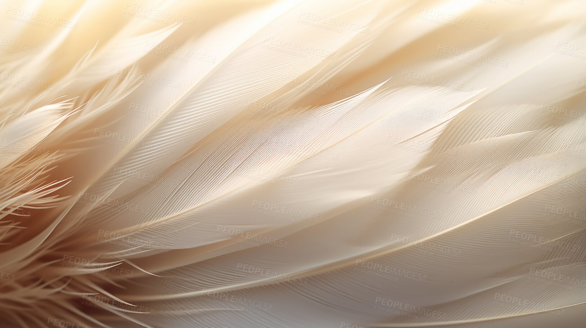 Buy stock photo Closeup, white feathers background for peace, spirituality, religion and hope.