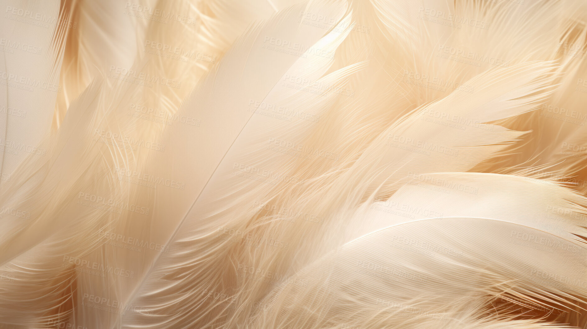 Buy stock photo Closeup, white feathers background for peace, spirituality, religion and hope.