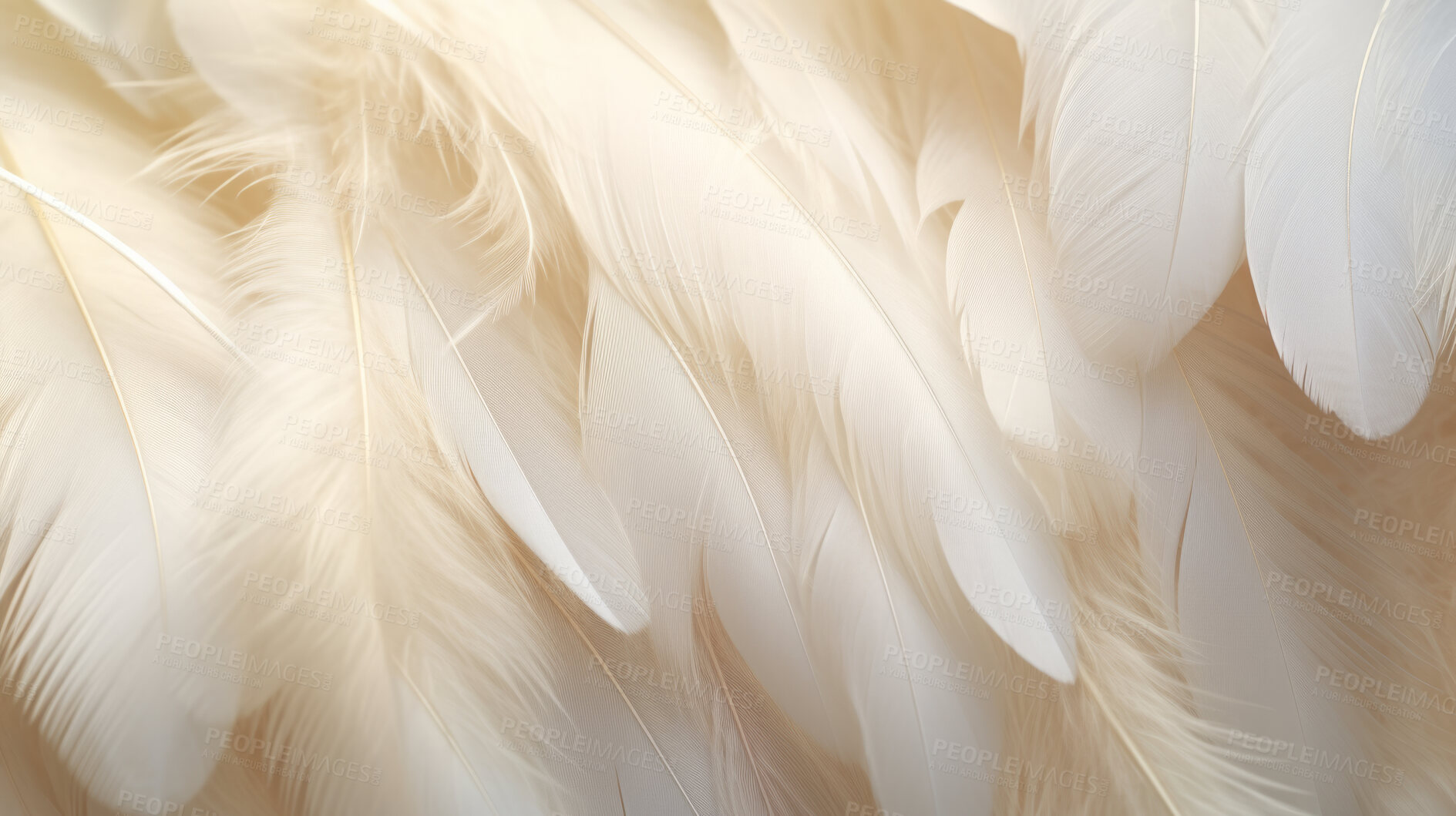 Buy stock photo Closeup, white feathers background for peace, spirituality, religion and hope.