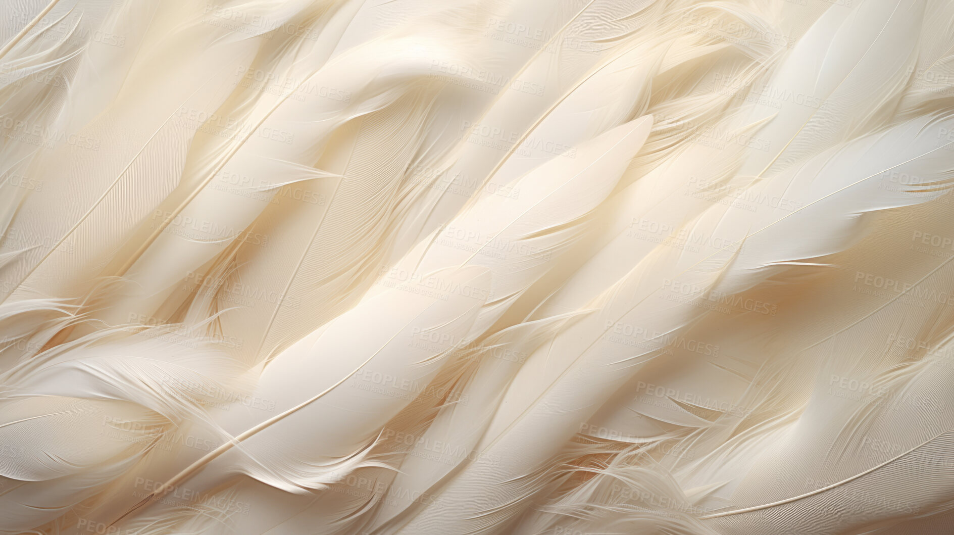 Buy stock photo Closeup, white feathers background for peace, spirituality, religion and hope.