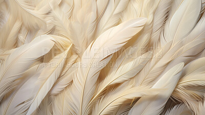 Closeup, white feathers background for peace, spirituality, religion and hope.