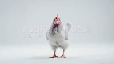 Pics of , stock photo, images and stock photography PeopleImages.com. Picture 2929805