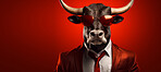 Bull wearing glasses and suit for office style or business against a red background