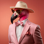 Flamingo wearing glasses and suit for office style or business against a pink background