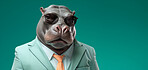 Hippo wearing glasses and suit for office style or business against a teal background