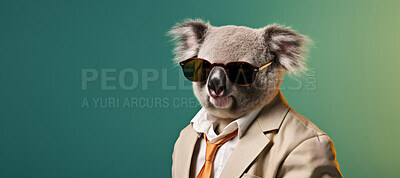 Koala wearing glasses and suit for office style or business against a blue background