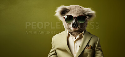 Buy stock photo Koala wearing glasses and suit for office style or business against a green background