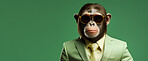 Monkey wearing glasses and suit for office style or business against a green background