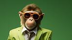 Monkey wearing glasses and suit for office style or business against a green background