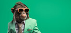 Monkey wearing glasses and suit for office style or business against a green background