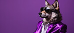 Wolf wearing glasses and suit for office style or business against a purple background