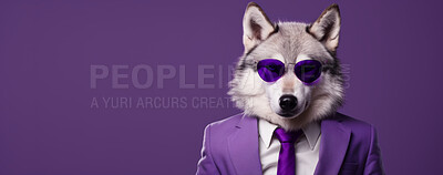 Wolf wearing glasses and suit for office style or business against a purple background