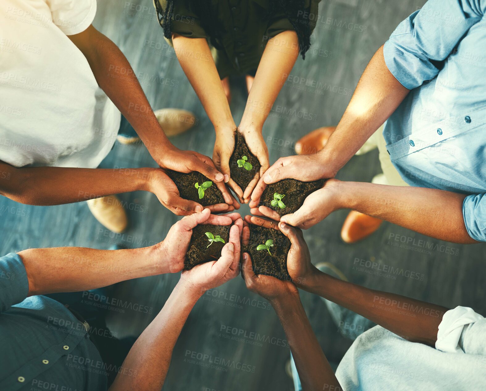 Buy stock photo Plant, sustainability and support with hands of business people for teamwork, earth or environment from above. Collaboration, growth and investment with employees for future, partnership or community
