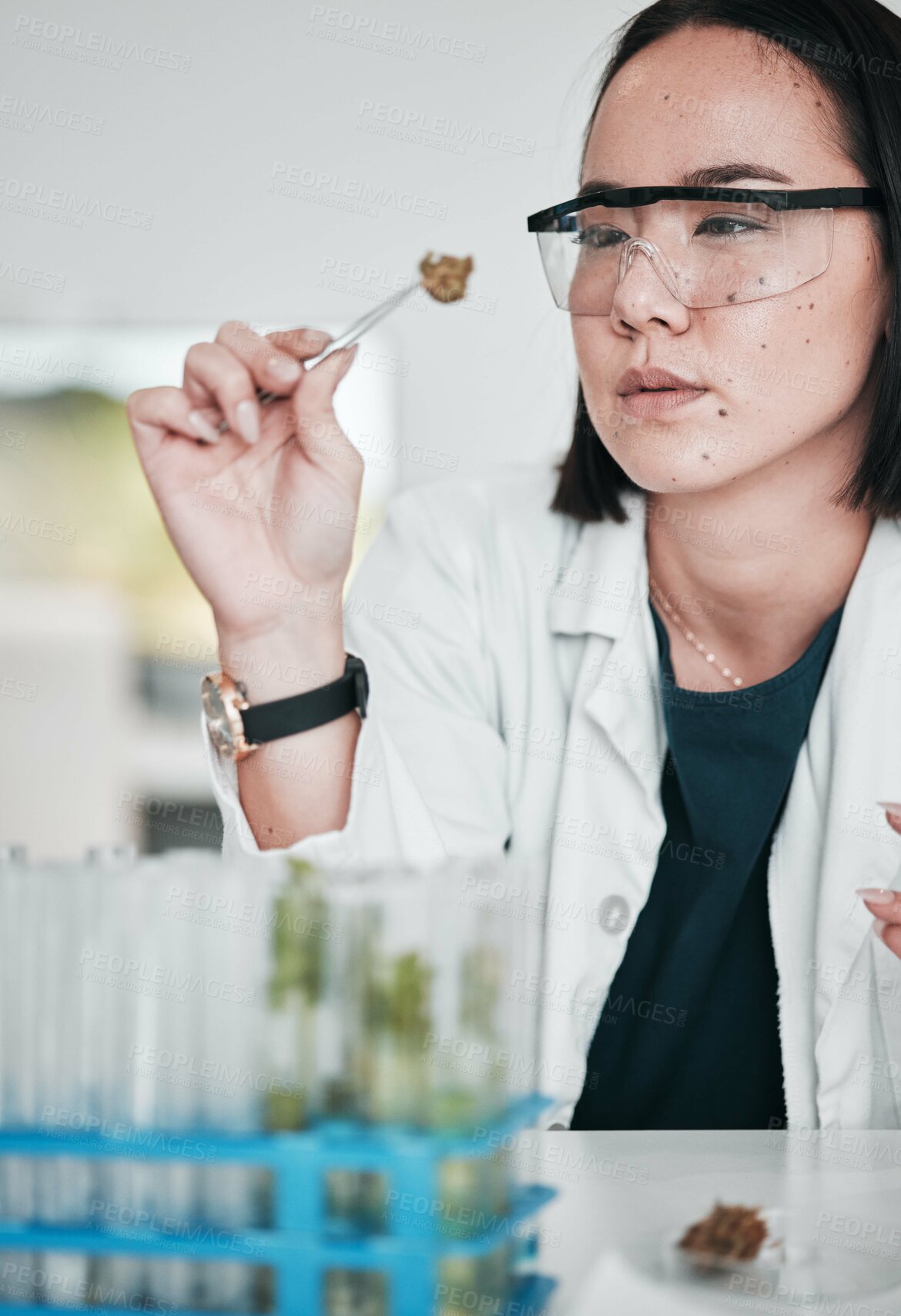 Buy stock photo Science, plant sample and Asian woman in laboratory for analysis, medical research and study. Horticulture, pharmaceutical and scientist with plants for testing, innovation and medicine development