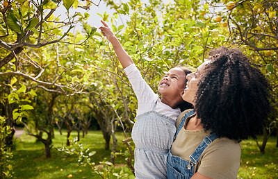 Buy stock photo Love, park and mother with girl child in nature picking fruit, explore and having fun in nature. Family, learning and mom with kid in a forest for development, adventure and searching tree for lemon