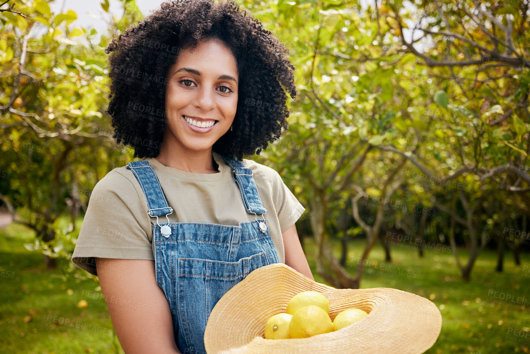 Buy stock photo Woman in orchard, portrait and agriculture with lemon in nature, healthy food and nutrition with citrus farm outdoor. Farmer, picking fruit and smile with harvest, sustainability and organic product