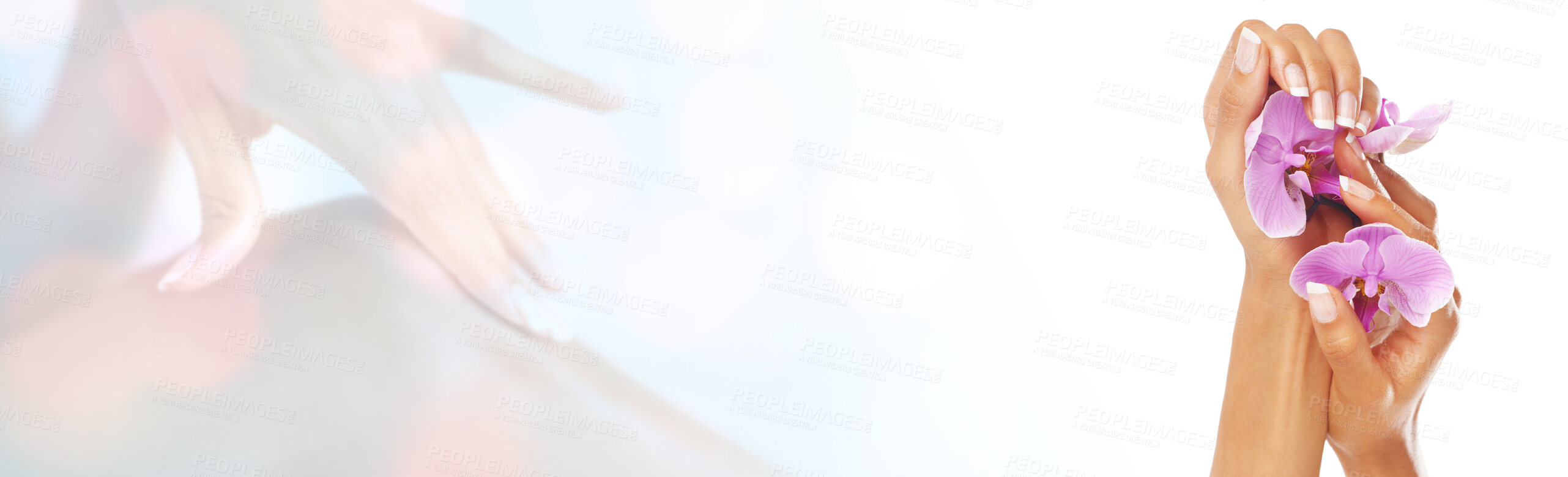 Buy stock photo Hands, nails and double exposure, beauty banner with flower and natural skincare on white background. Bokeh mockup, treatment and overlay, person with eco friendly cosmetics in studio for manicure