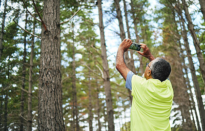 Buy stock photo Hiking, photograph or senior man in forest for trekking journey memory or adventure for freedom. Pictures, holiday vacation view or mature hiker in nature or woods for exercise, fitness or wellness