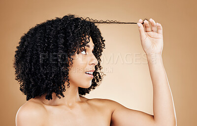 Buy stock photo Woman, hair and strand of afro for beauty, natural growth and coil texture in studio on brown background. Model, curly hairstyle and check results for salon aesthetic, healthy treatment and care 