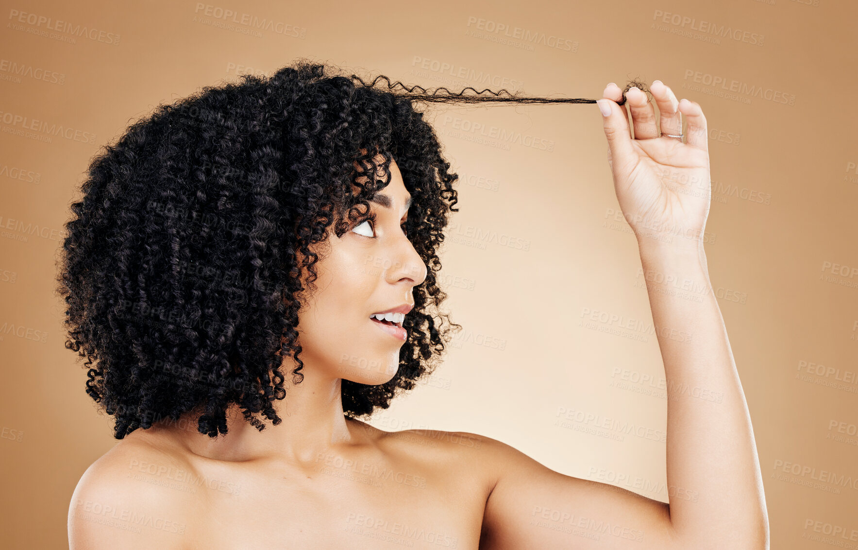 Buy stock photo Woman, hair and strand of afro for beauty, natural growth and coil texture in studio on brown background. Model, curly hairstyle and check results for salon aesthetic, healthy treatment and care 