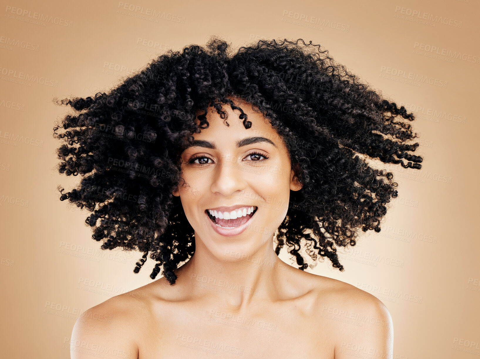 Buy stock photo Model, curly and hair wind in afro fun on studio background for healthy hairstyle growth, texture or frizz treatment. African beauty woman, portrait and shake change by shampoo transformation results