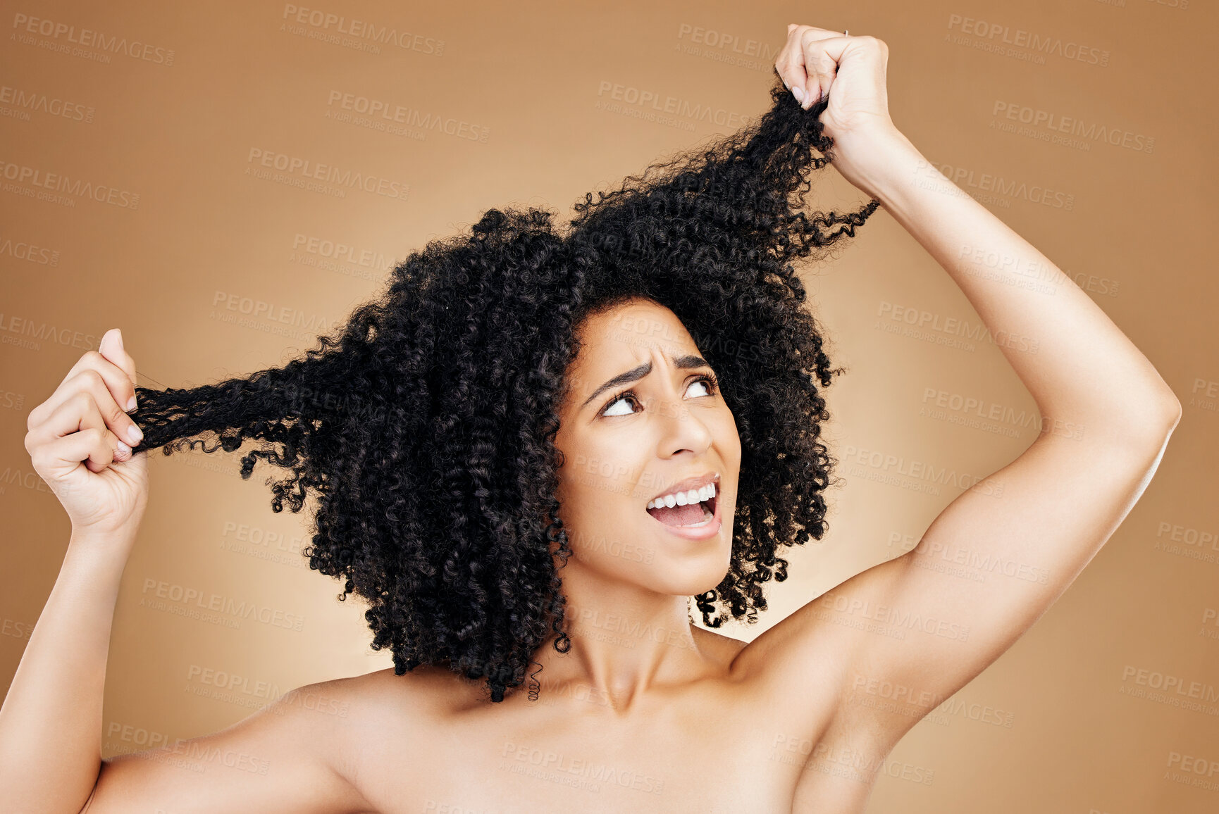 Buy stock photo Afro woman, studio face and hair problem, anxiety or frustrated with grooming mistake, beauty salon treatment or breakage. Hairstyle disaster, bad frizz and model girl stress on brown background