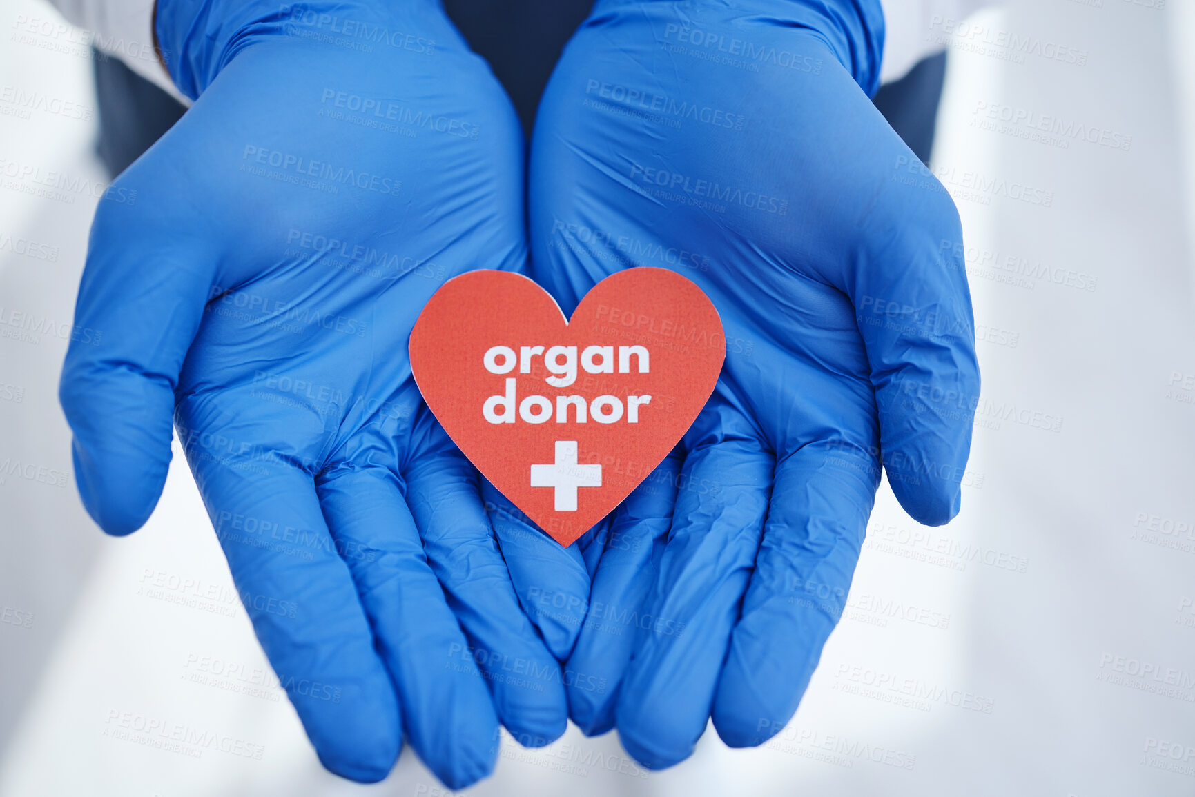 Buy stock photo Hands, heart and doctor with organ donation, help and medical transplant in hospital zoom. Healthcare, charity and palm of surgeon with sign for cardiovascular, surgery or donor, support or hope