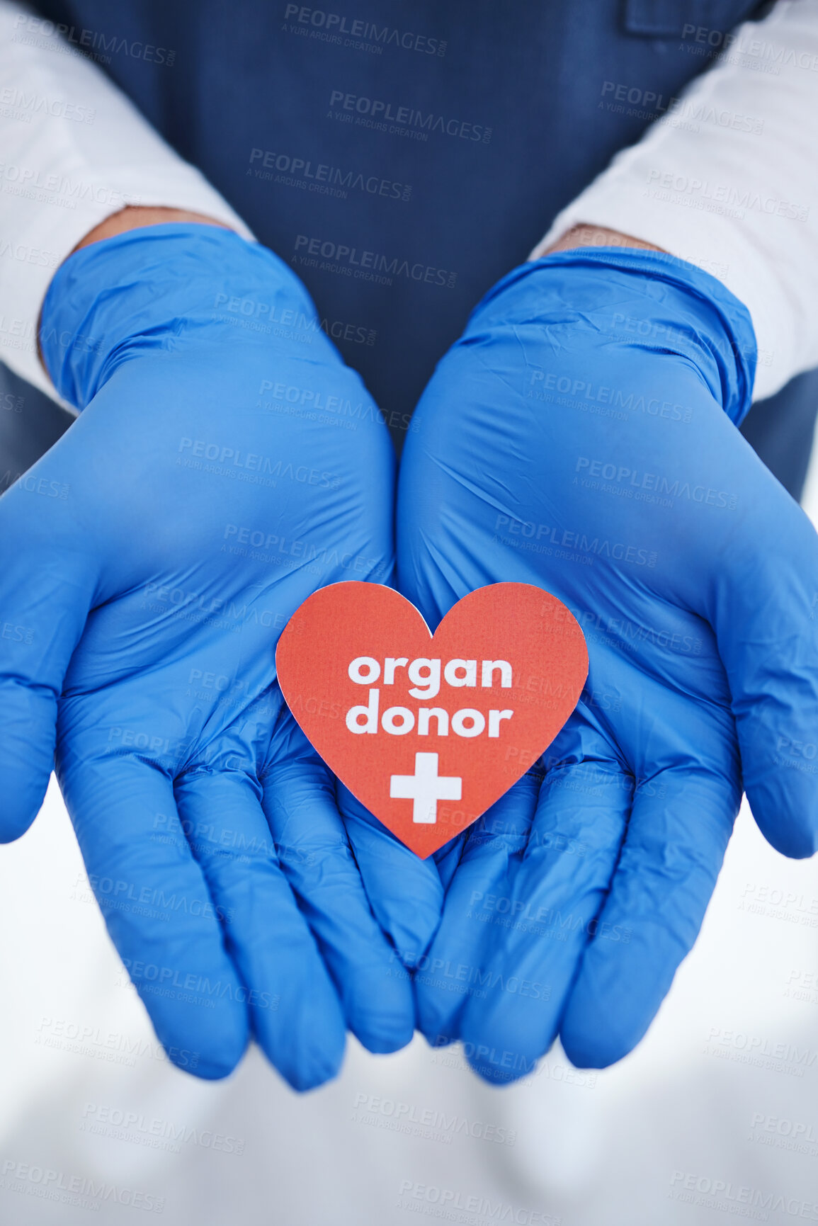 Buy stock photo Heart, hands and doctor with organ donation, help and medical transplant in hospital zoom. Healthcare, charity and palm of surgeon with sign for cardiovascular, surgery or donor, support or hope