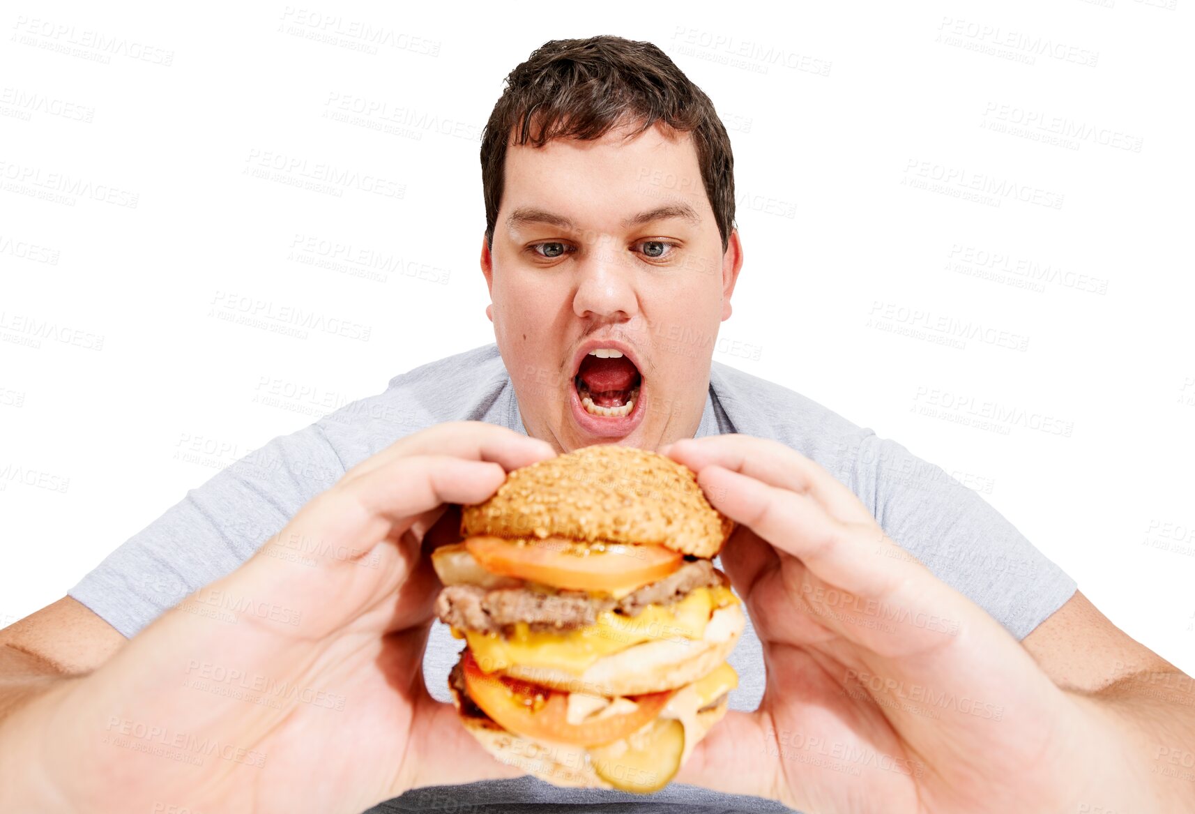 Buy stock photo Man, burger and holding for eating, mouth and isolated on transparent png background. Fat person, condiments and unhealthy for diet, meat and obesity from lunch for hungry, overweight and fast food