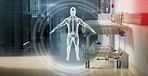 Hologram, anatomy and a bed in the corridor of a hospital after work, ready for an emergency or accident. Healthcare, medical and overlay with a gurney in the empty hallway of a health clinic