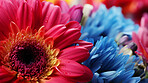 Close-up macro shot of colourful flowers . Digital wallpaper concept.