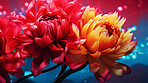 Close-up macro shot of colourful flowers . Digital wallpaper concept.