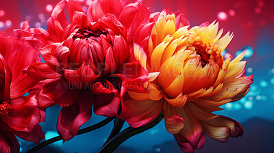 Close-up macro shot of colourful flowers . Digital wallpaper concept.