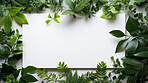 A frame of tropical leaves around a white empty space. Copy space concept.