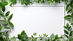 A frame of tropical leaves around a white empty space. Copy space concept.