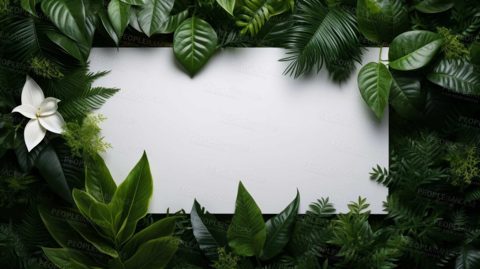 Buy stock photo A frame of tropical leaves around a white empty space. Copy space concept.