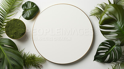 Tropical leaves around a white empty space. Copy space concept.