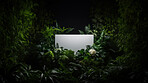 Tropical leaves around a white empty space in jungle. Copy space concept.