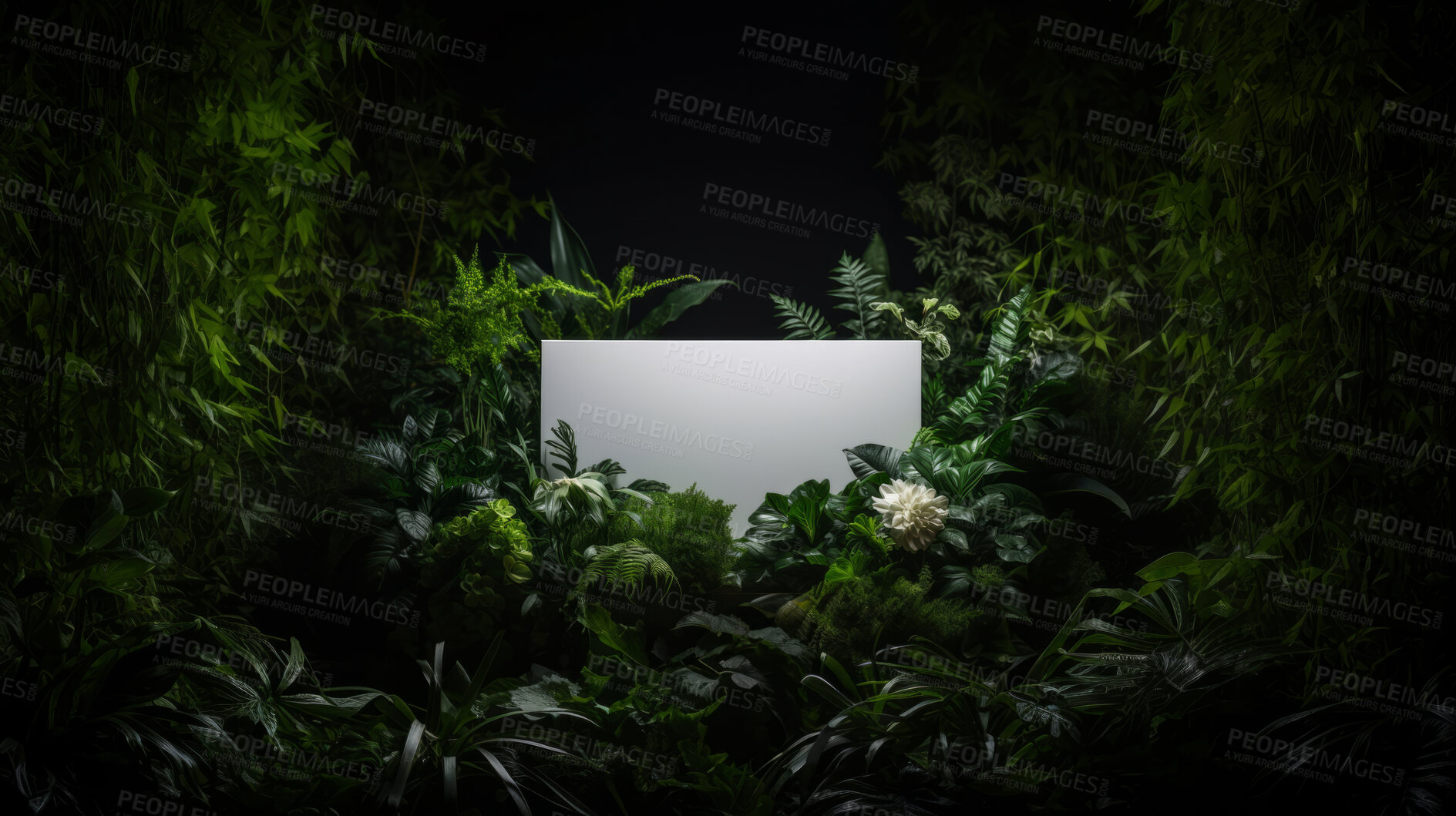 Buy stock photo Tropical leaves around a white empty space in jungle. Copy space concept.