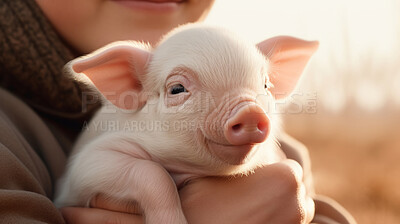 Piglet in owner's arms. Livestock pork breeding business.