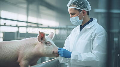 Pig farming science industry. Livestock research and business.