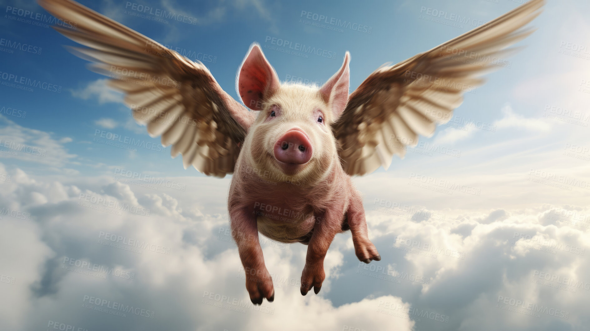 Buy stock photo Pig with wings flying in blue sky. Idiom concept for unlikely event.