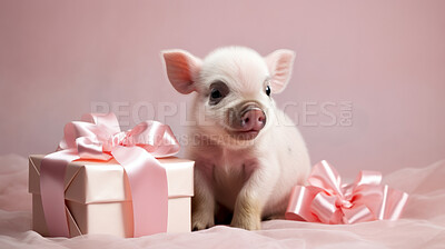 Piglet with pink box with bow. Cute pet present idea. Surprise gift
