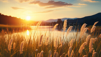 Summer sunset or sunrise landscape with a plain wild field and a lake on background
