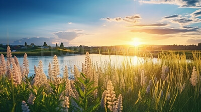Buy stock photo Summer sunset or sunrise landscape with a plain wild field and a lake on background